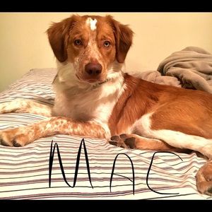 Meet your Posher, Nick